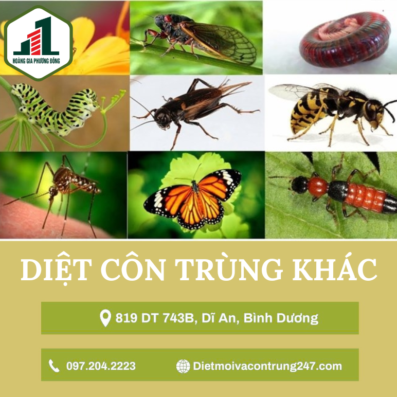Diệt côn trùng khác